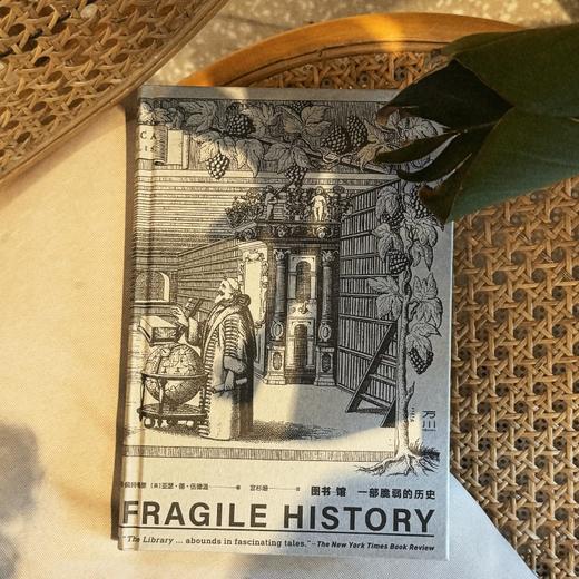 图书馆：一部脆弱的历史 樊登推荐 商品图3