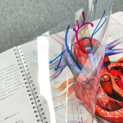 “DK透视眼百科”：《星空》 商品图12