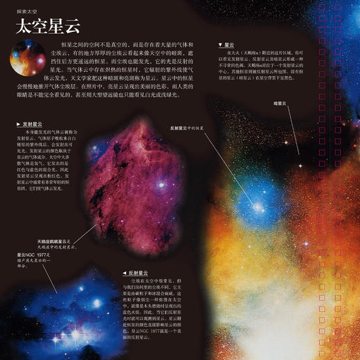 “DK透视眼百科”：《星空》 商品图6