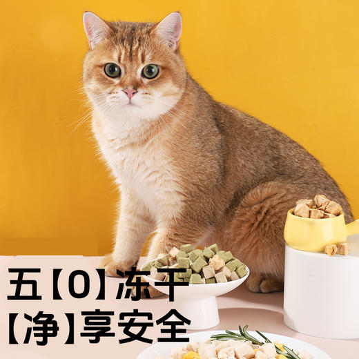 原始兽罐装冻干零食 9种口味 纯肉0添加 高适口性 线下款 犬猫零食批发 商品图5
