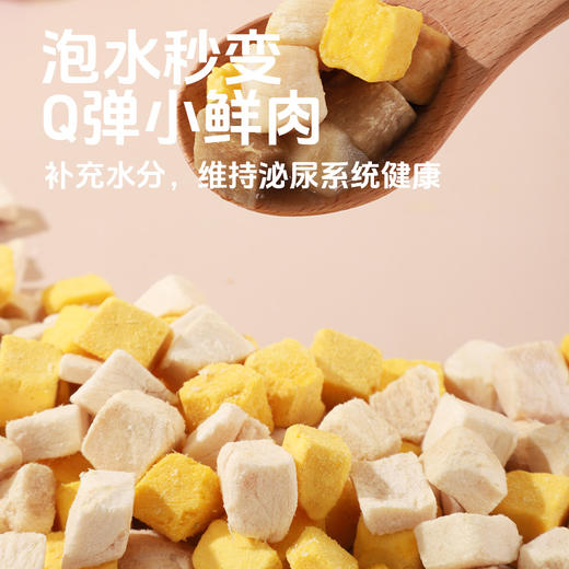 原始兽罐装冻干零食 9种口味 纯肉0添加 高适口性 线下款 犬猫零食批发 商品图2