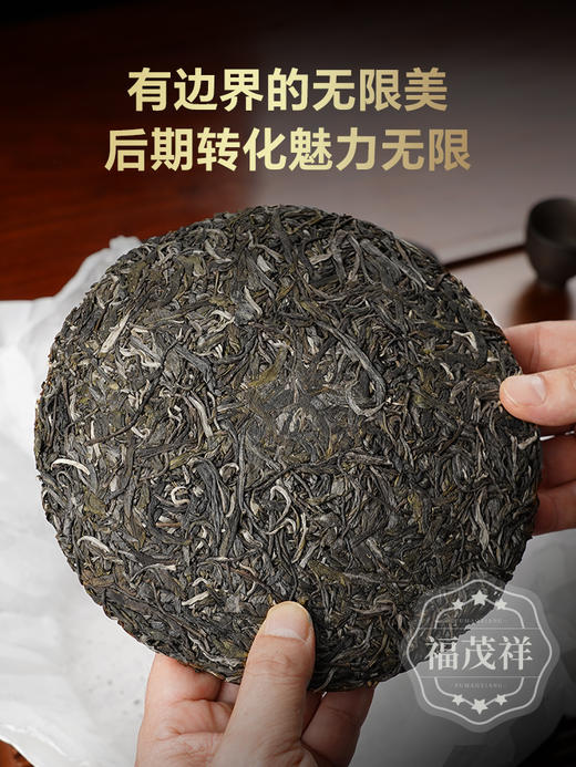 【班章王】品质赶超老班章 十年难遇性价比 2024年春茶云南勐海边境普洱茶生茶800年古树357g茶饼 商品图2