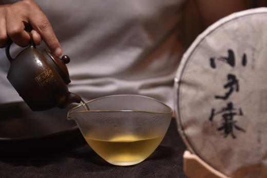 彩农茶·小户赛红土地｜2024年头春古树纯料圆茶 商品图6