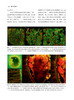 根管生物膜 叶惟虎主译 聚焦于根管系统内细菌生物膜感染机制及其控制策略 口腔科学牙体牙髓书籍9787559131881辽宁科学技术出版社 商品缩略图3