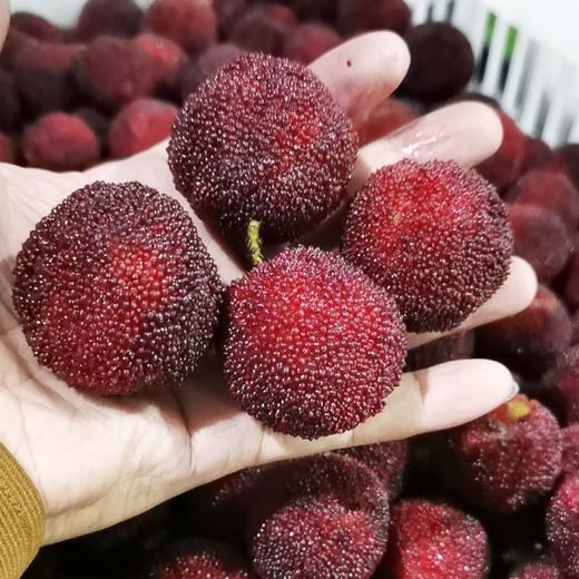 东魁杨梅(450±20g） 商品图1