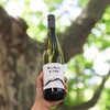 维拉河夏日雷司令半甜白葡萄酒 2023 新西兰Wairau River Summer Riesling Marlborough 商品缩略图0