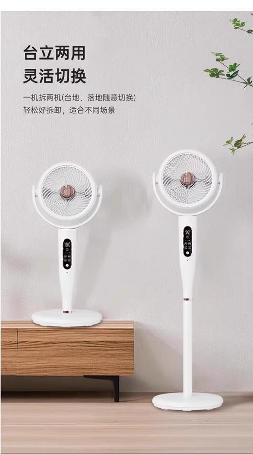 先锋变频空气循环扇台立遥控落地电风扇36档语音DXH-S22R 商品图6