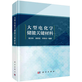 大型电化学储能关键材料