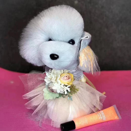 泰迪头毛 OPAWZ小爪印 商品图1