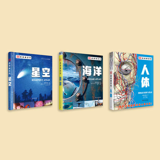 “DK透视眼百科”：《星空》 商品图2