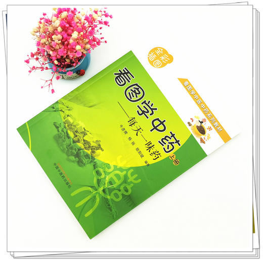 现货【出版社直销】看图学中药 每天一味药 上册 牛彦辉 杨扬 欧阳斌 主编 中国中医药出版社 全彩插图 看图学中医中药系列教材 商品图2