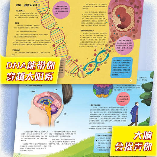 人体简史（少儿彩绘版） 商品图4