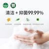 滴露泡沫抑菌洗手液青柠香型 250ml*3瓶 商品缩略图4