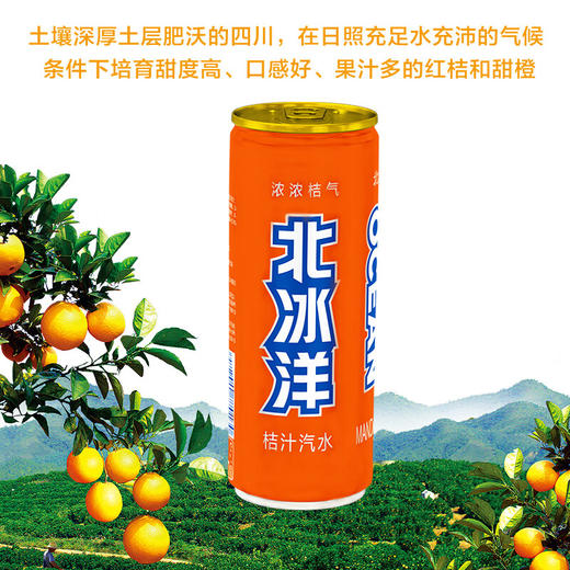 北冰洋 汽水饮料 果汁味饮品桔汁汽水碳酸饮料 330ml*6听塑封小包装 商品图3