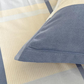 【洁丽雅】 “摩斯密码”时尚四件套 JLY-TJ850 被套 200*230cm