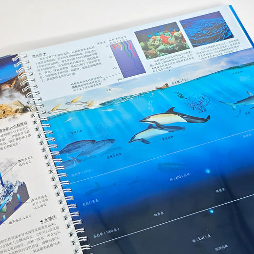 “DK透视眼百科”：《星空》 商品图10