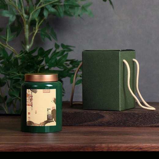 YP-601高罐 单罐一提  配卡盒【绿色·烤漆罐】25一套/一件24套 商品图1