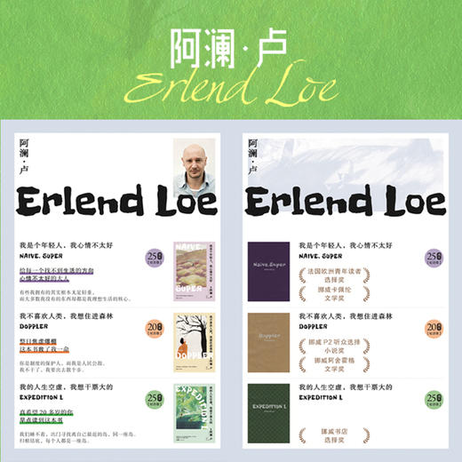 【磨铁】我的人生空虚，我想干票大的（新版）(挪威) 阿澜·卢著 商品图4