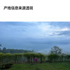 钦蜜9号 全能咖啡豆200g 商品缩略图4