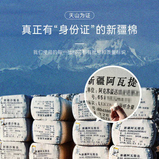 十如仕针织圆领天然染短袖T恤-日月山河特别版-T02-C1 商品图6
