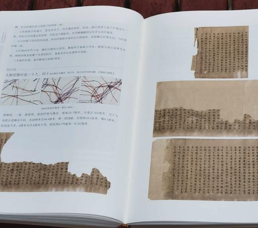 《山西省图书馆 曲沃县图书馆国家珍贵古籍书志》，精装，16开，山西省图书馆编，范月珍著，山西人民出版社2022年一版一印，261页，定价198，售价98元。 商品图14