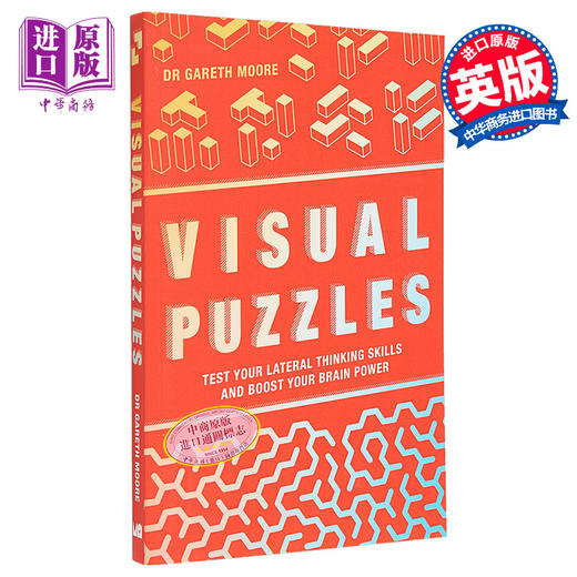 【中商原版】视觉谜题 Visual Puzzles 英文原版 Gareth Moore 生活休闲 游戏 益智 自我提升 商品图0