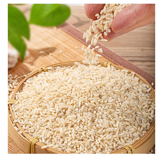 【凤品优选】龙之行 江西赣州古法有机胚芽米 2.5kg 经过欧盟518项检测农残残留为0 商品图4
