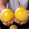 钦蜜9号黄金百香果新鲜5斤包邮大果黄晶果鸡蛋水果汁纯甜 商品缩略图1