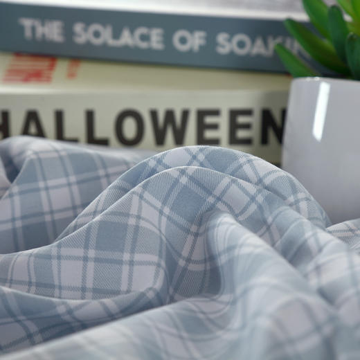 【洁丽雅】 “浪漫格调”休闲四件套 蓝色 被套 200*230cm 商品图2