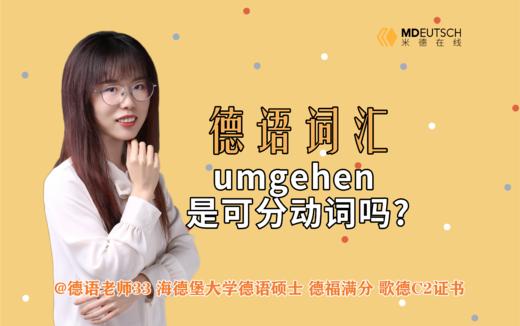 umgehen 是可分动词吗？ 商品图0
