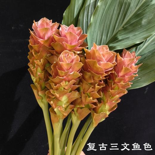 夏日精选花材姜荷花 商品图6