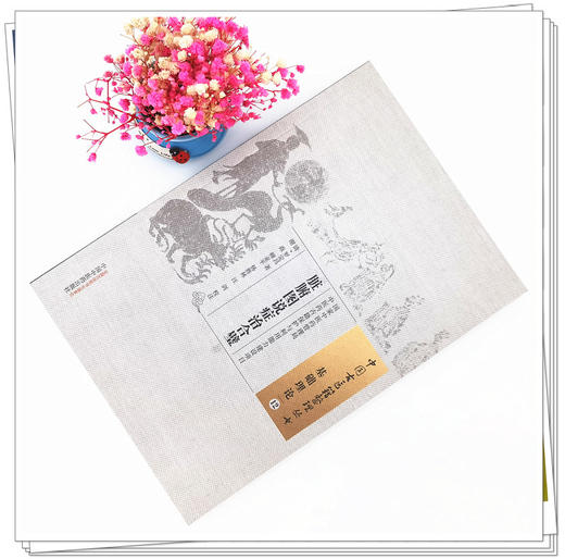 现货【出版社直销】脏腑图说症治合璧（中国古医籍整理丛书）(清) 罗定昌 著 中国中医药出版社 书籍 商品图2