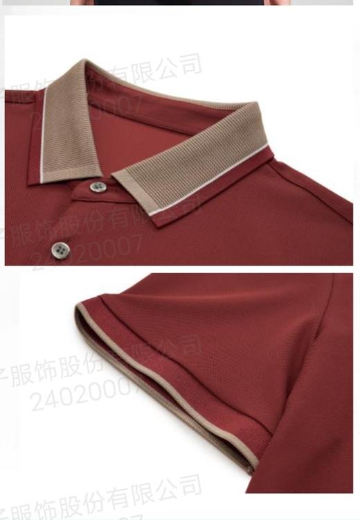 才子男装2024夏款撞色休闲百搭短T 商品图2