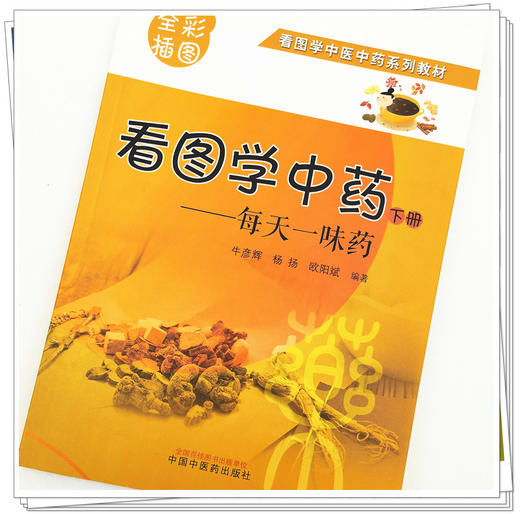 现货【出版社直销】看图学中药 每天一味药 下册 牛彦辉 杨扬 欧阳斌 主编 中国中医药出版社 全彩插图 看图学中医中药系列教材 商品图4