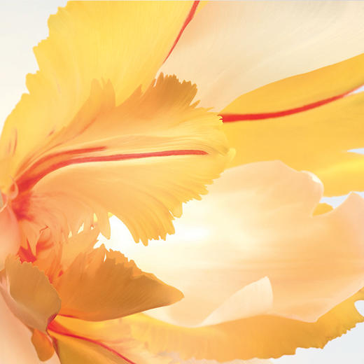 迪奥(DIOR)真我女士香水50ml 商品图2