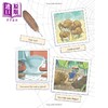 【中商原版】英文原版小动物日记2册 虫虫日记Diary of a Worm 蜘蛛日记a spider 昆虫搞笑冒险故事图画书 儿童绘本 进口图书 商品缩略图3
