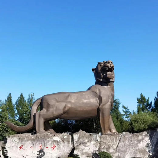 漫游黑龙江东极，观日出东方，赏北国大地好风光！ 商品图6