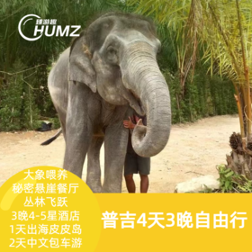 【泰国普吉】4天3晚包车游含接送机|大象丛林保护营喂养大象-秘密悬崖餐厅-神仙半岛|出海皮皮岛|丛林飞跃-山顶大佛|含3晚网评4星酒店