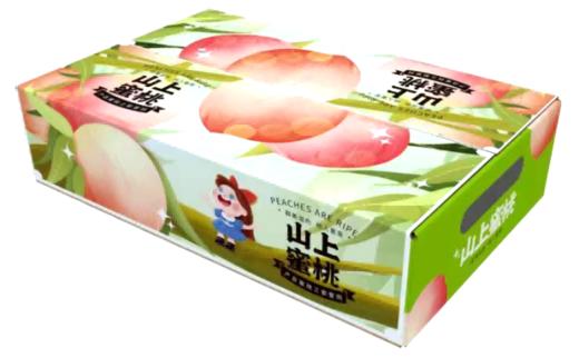 【山东·沂蒙】夏季爆款 蒙阴特产黄金黄油桃  新鲜当季黄金脆甜油桃 商品图6