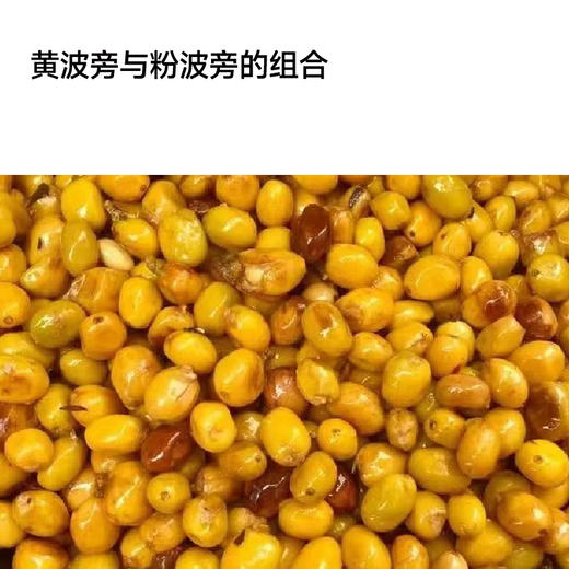 钦蜜9号 全能咖啡豆200g 商品图3