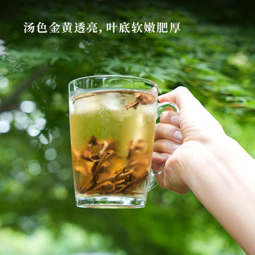 【茶叶肥厚 耐泡度高】冷泡茶月美人古树白茶 商品图3