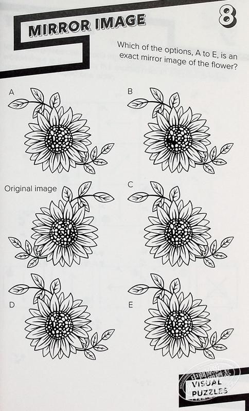 【中商原版】视觉谜题 Visual Puzzles 英文原版 Gareth Moore 生活休闲 游戏 益智 自我提升 商品图6