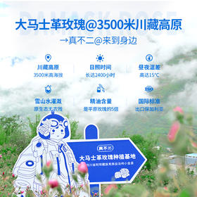 真不二大马士革玫瑰足贴、灸贴、颈贴系列