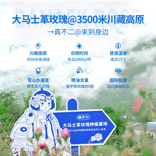 真不二大马士革玫瑰灸贴、颈贴系列 商品图1