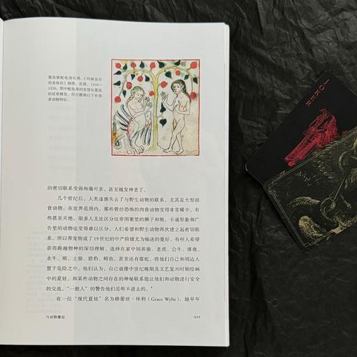 幻兽志 一个怪物与奇迹的世界，一场视觉与想象力的盛宴 商品图3