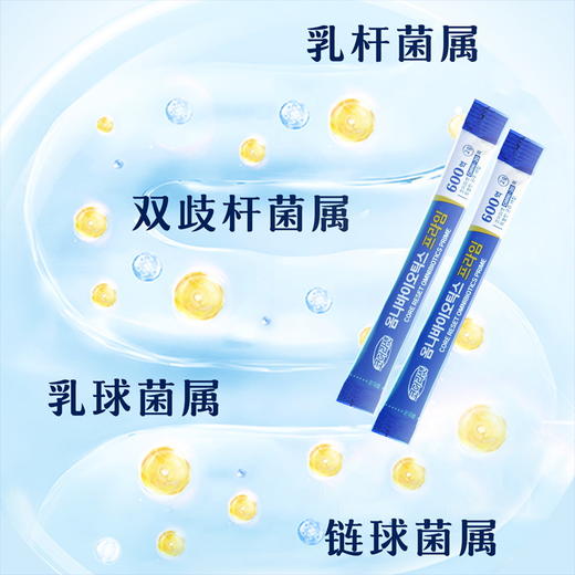 活菌型益生菌粉固体饮料60g（2g*30） 商品图3