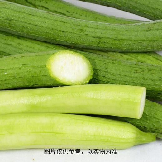 丝瓜（300±30g） 商品图1