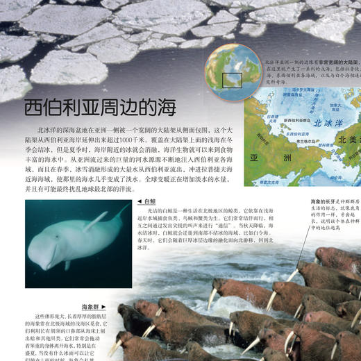 “DK透视眼百科”：《星空》 商品图8