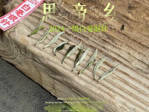 【2024春茶来了】2024白毫银针，连续3年的售罄之作，像是仙人酿出的花浆，那样香，那样甜 商品图6