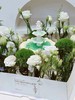 鲜花许愿池 | 昔果 商品缩略图1